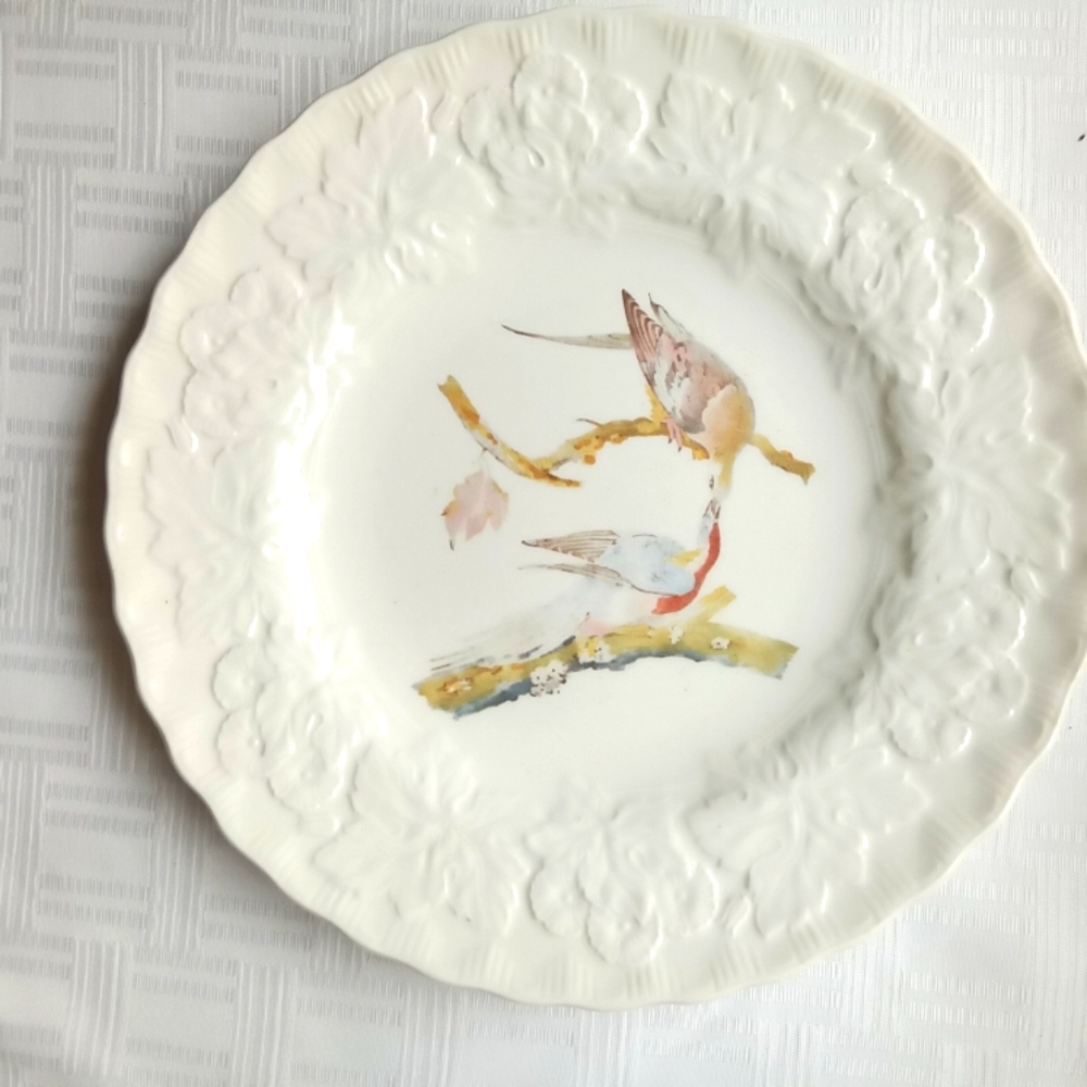 Alfred Meakin, National Audubon Society 9"Plate, Passenger Pigeon,  Plate #62